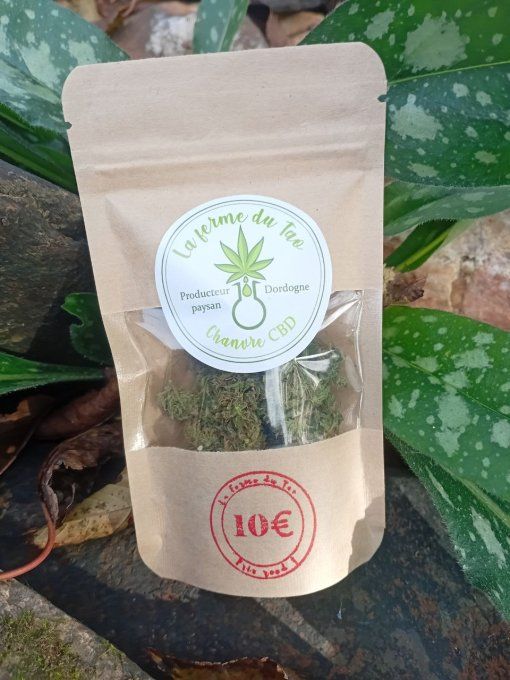 Fleurs de Chanvre CBD - SLASH MANGO -  5 g 