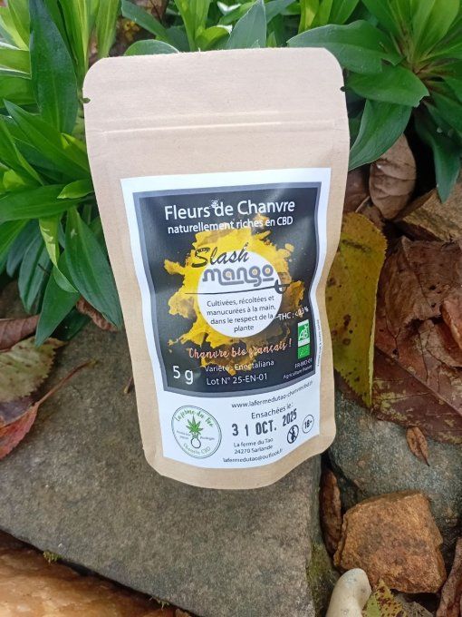 Fleurs de Chanvre CBD - SLASH MANGO -  5 g 
