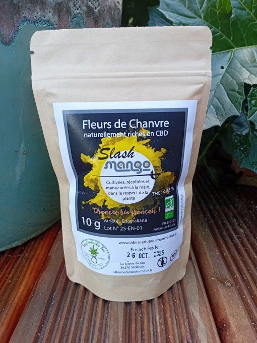 Fleurs de Chanvre CBD - SLASH MANGO -  10 g  