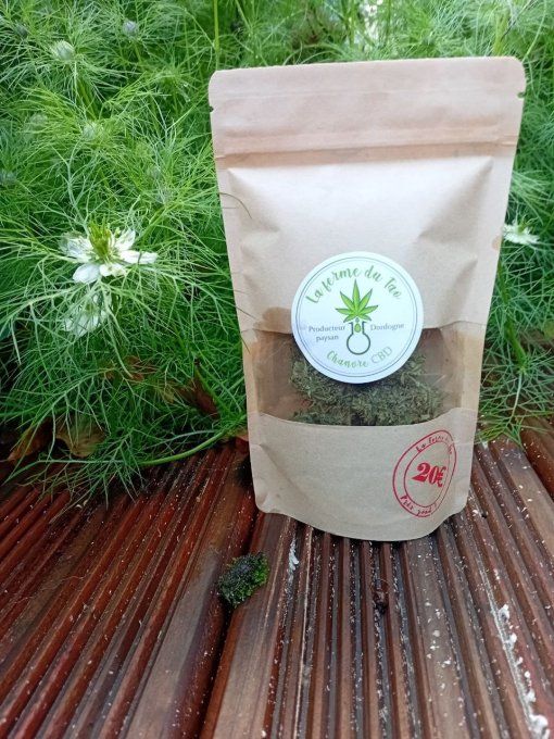 Fleurs de Chanvre CBD - SLASH MANGO -  10 g  