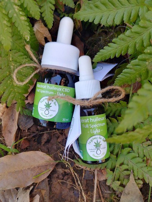 Macérat Huileux CBD  - 10 ml
